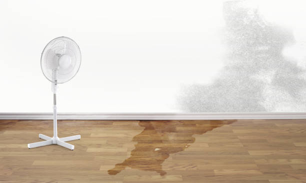 Best Sewage cleanup and water damage restoration  in Chula Vista, CA