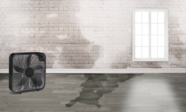 Best Commercial water damage restoration  in Chula Vista, CA