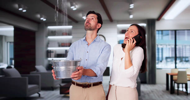 Best Water damage cleanup near me  in Chula Vista, CA